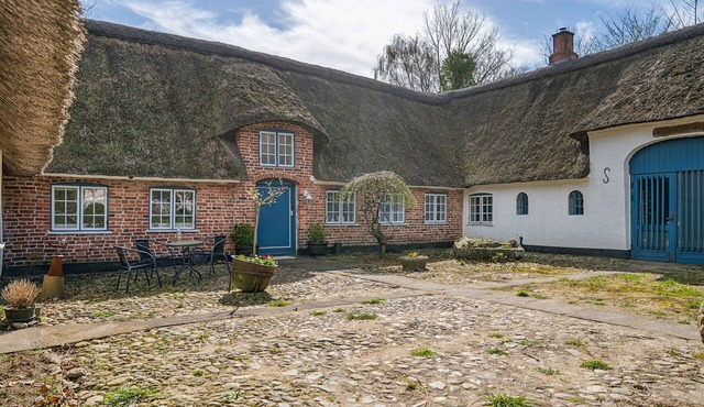 Spacious holiday home near Ribe for 11