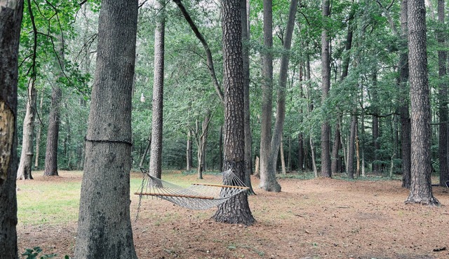 Spacious home in the peaceful pines! n15 minutes from coastal highway!