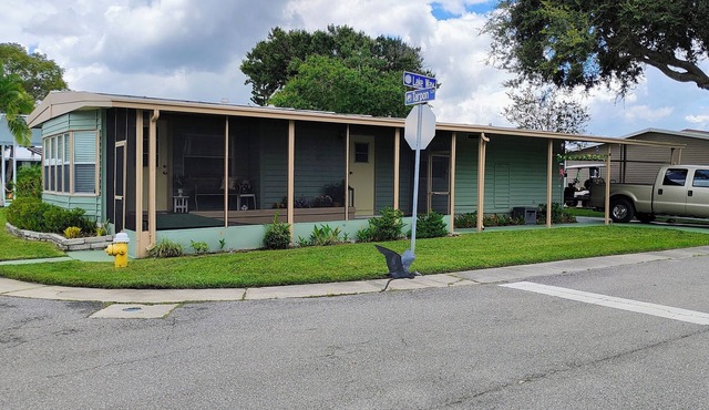 Spacious Home near Everything in charming Oldsmar