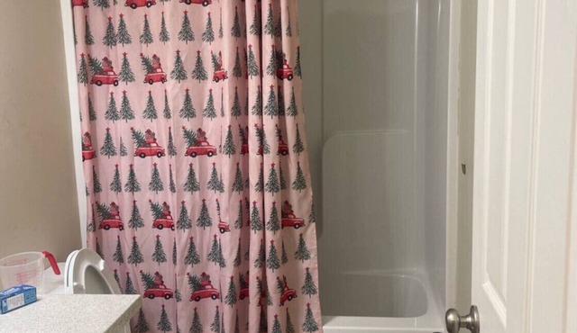 Spacious Home, Saint Paul MN