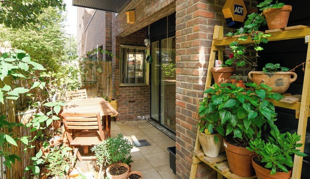 Spacious home with a touch of wilderness at the heart of East London.