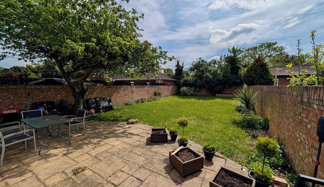 Spacious House With Amazing Backyard and Parking