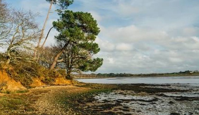 Spacious house near the forest with 3 bedr. and WIFI - Nostang