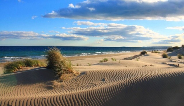 Spacious house not far Camargue National Park