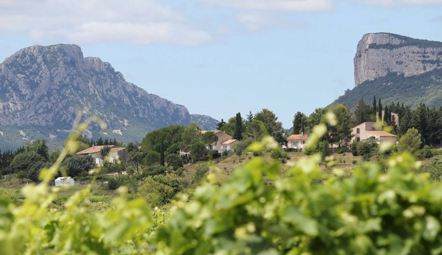 Spacious house with pool in Valflaunès 34270