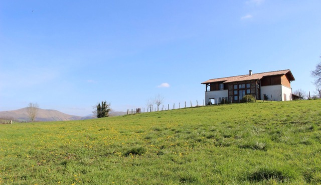 Spacious house with garden