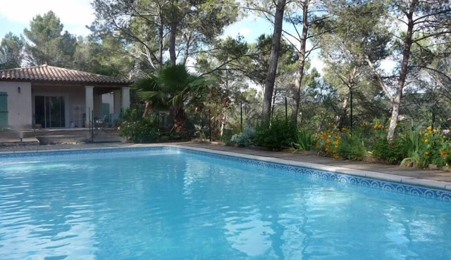 Spacious house with pool