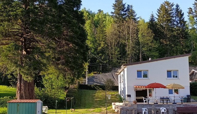 Spacious house with spa and playground at the forest edge