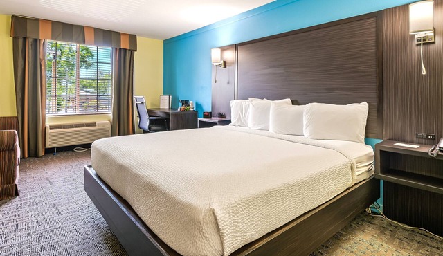 Spacious King Suite with Sofa Sleeper – Comfort & Flexibility - Wildwood Inn