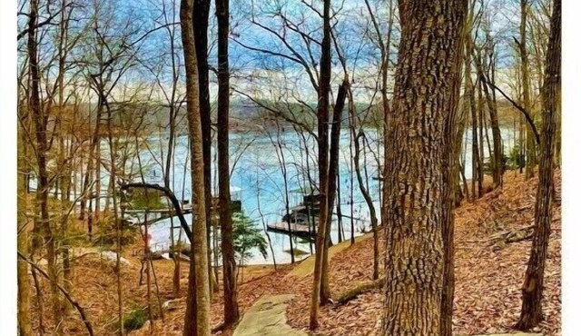 Spacious Lakehouse Lake Hartwell