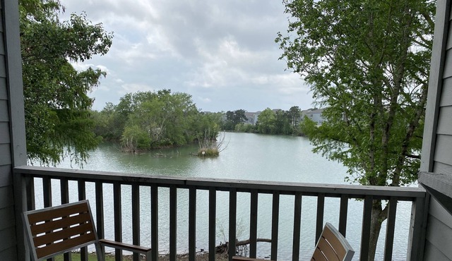Spacious lakeside apartment minutes from Hobby, NASA, Downtown