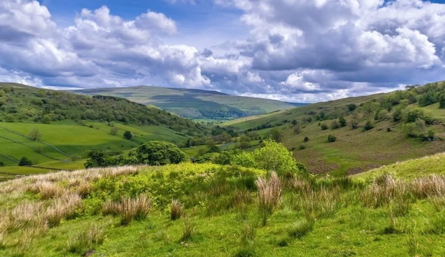 Spacious, light and modern holiday home.