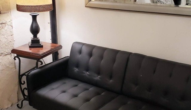 Spacious Loft 1-Bedroom centrally-located place #2
