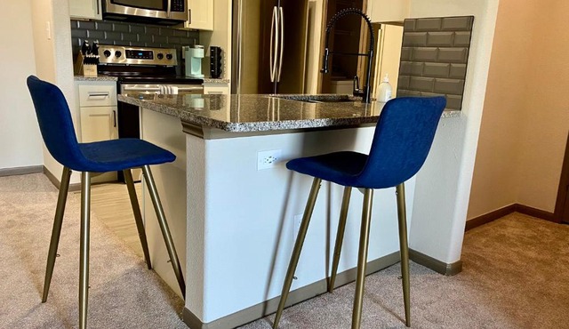 Spacious Loft Apartment Med Center, NRG Stadium