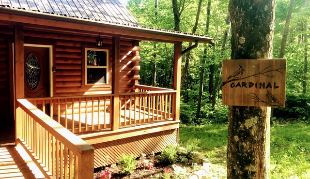 Spacious Log Cabin with Hot Tub, Fire Pit, Large Decks & Wood Fireplace