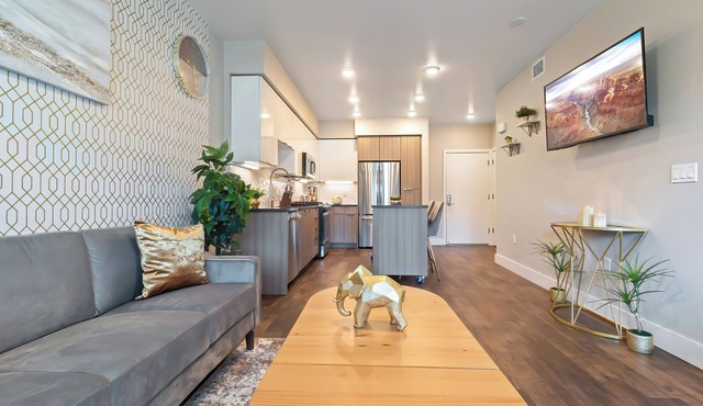 Spacious Luxury Apartment in Heart of Bay Area