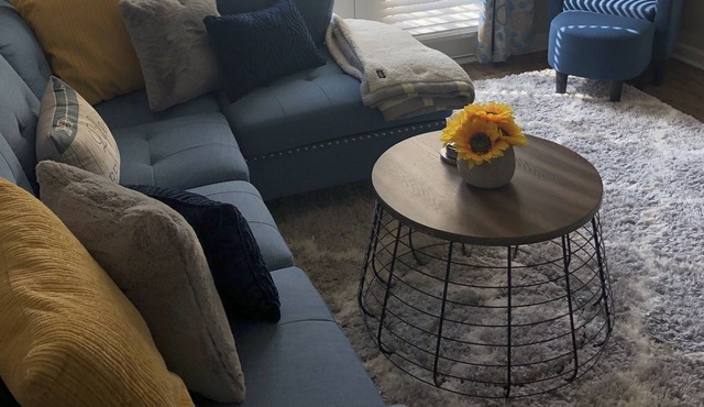 Spacious Luxury Apt in Sandy Springs- Pool View