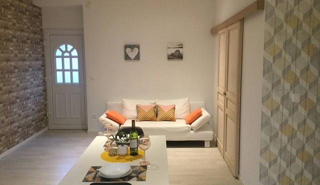 Spacious luxury apartment with private entrance
