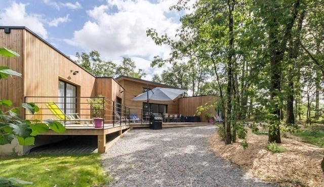 Spacious Modern Wooden House with Large Park, Terrace, and Game Amenities