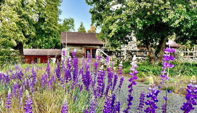 Spacious mountain lodge