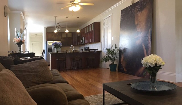 Spacious Napoleon Avenue Mardi Gras Apartment