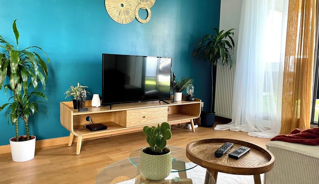 Spacious new apartment with view of Fourvière