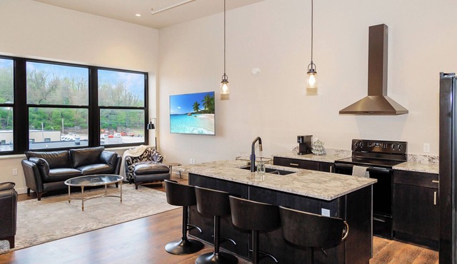 Spacious New & Clean 2 BR Heart of Downtown! 301S