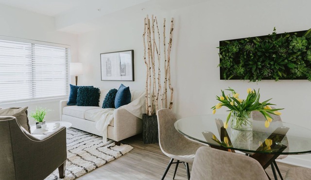 Spacious, New, Furnished Luxury Apartment Walking Distance to Merriweather Post