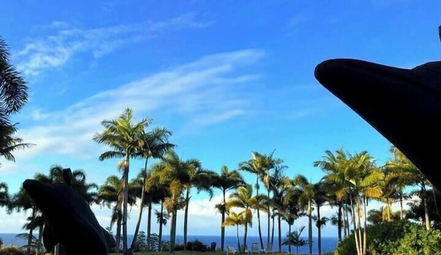 Spacious Oceanfront Retreat | Enjoy Outdoor Games & BBQ Fun