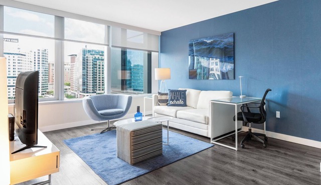 Spacious One Bedroom in Luxury Boston Building