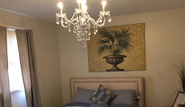 Spacious one Bedroom Apt with private entrance