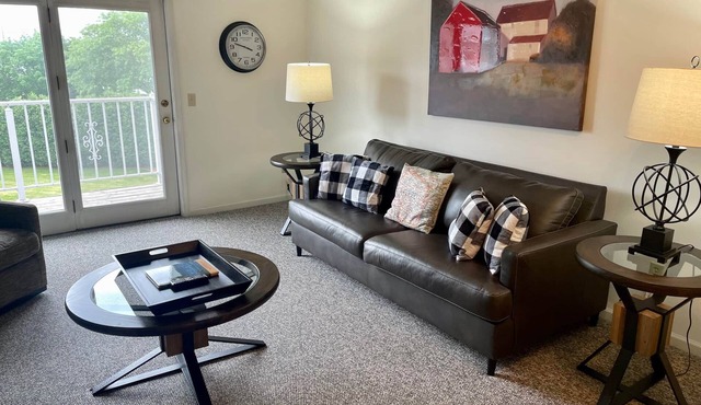 Spacious One Bedroom With Wonderful Fox River Views