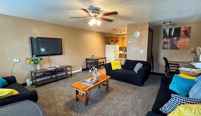 Spacious Open Living Space in This Beautiful Mother-in-Law Basement Apartment