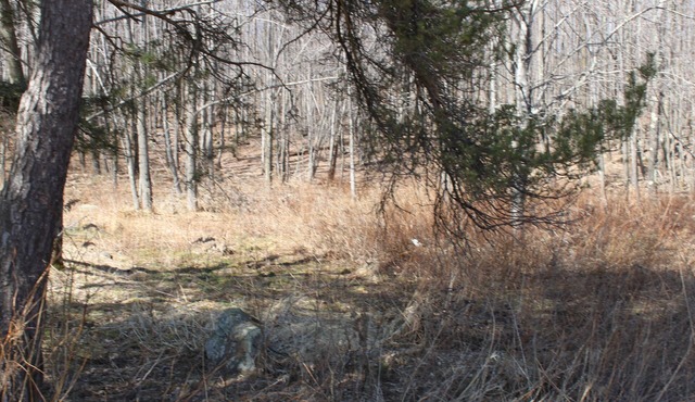 Spacious PA family home,near ski resort,fly fishing,snowmobile trail, sleeps 12+