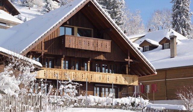 Spacious penthouse with stunning mountain and lake views: Ackaert - Top of Thun