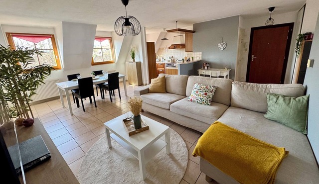Spacious, quiet apartment in the heart of Rouffach