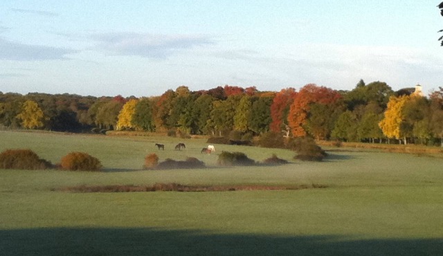 Spacious, quiet house with lovely countryside views, overlooking the river.