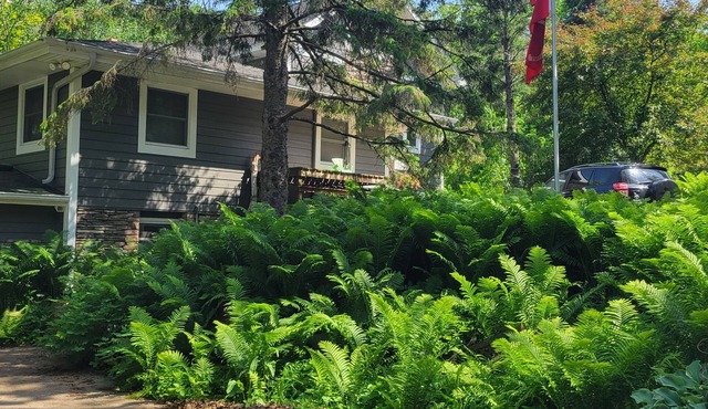 Spacious Retreat in Afton, MN 2 mins from downtown