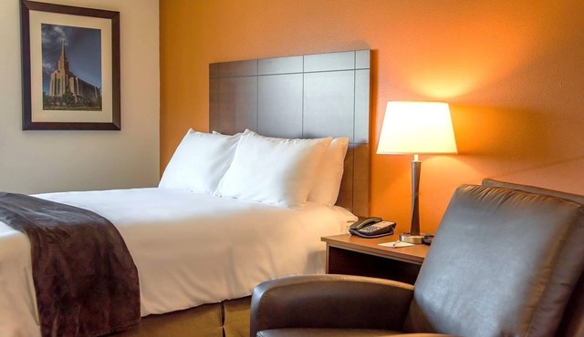 Spacious Retreat with In-Room Kitchen | Pet-Friendly | Free Parking | BBQ Area