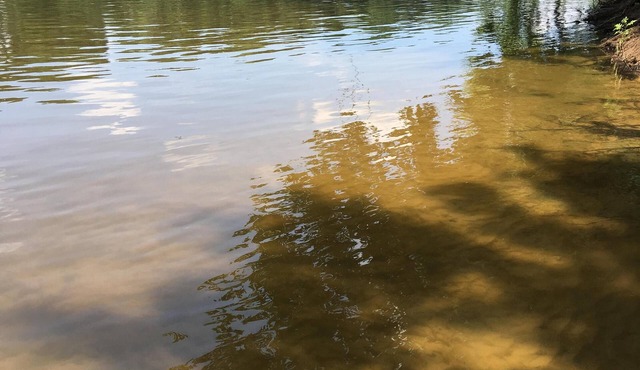 Spacious Riverfront! 3 Miles Opryland, 10 Min Downtown Nashville