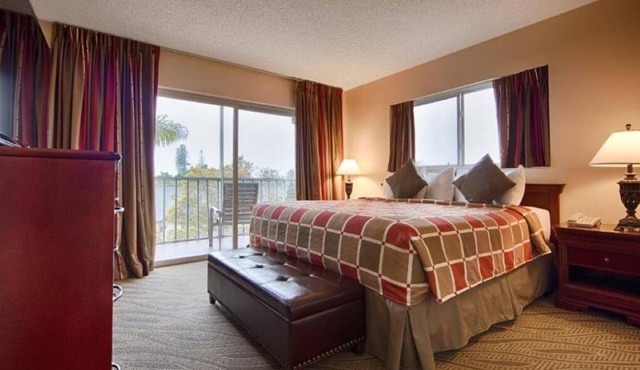 Spacious Room Perfect for Beach Lovers + Bike Rentals