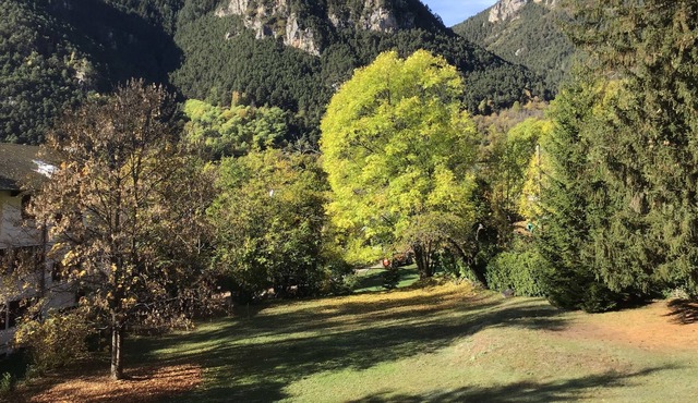 Spacious Studio with terrace and garage