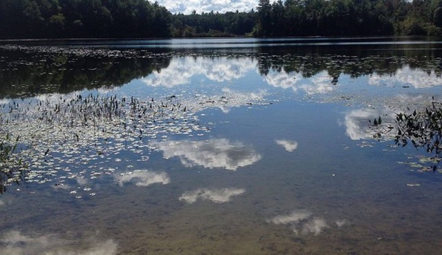 Spacious, Secluded RV On Private Lake with Own Access
