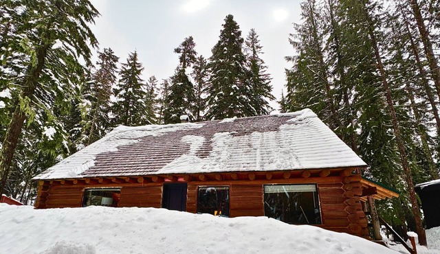 Spacious Steiner Cabin on quiet street and stream.