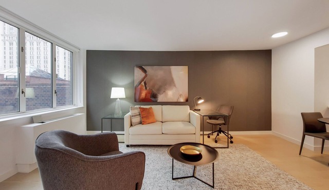 Spacious Studio in Battery Park City