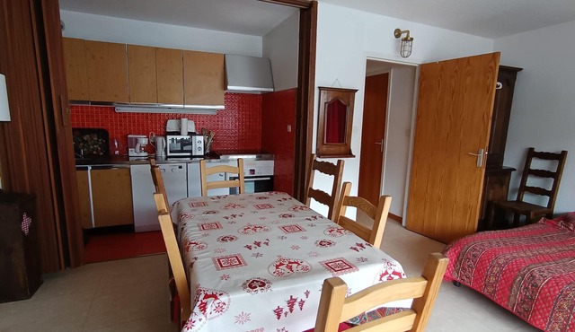 Spacious studio near slopes, pets allowed and parking