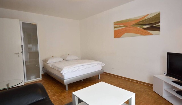 Spacious studio near lake and opera (Mill 5.12)