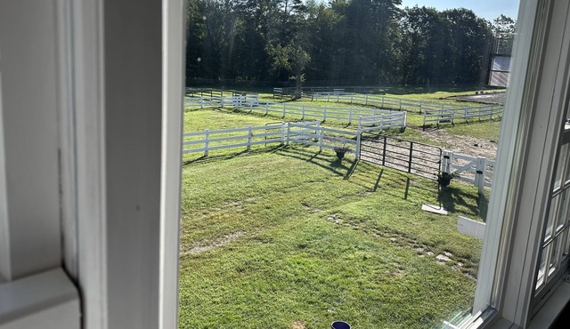 Spacious studio on a beautiful working horse farm