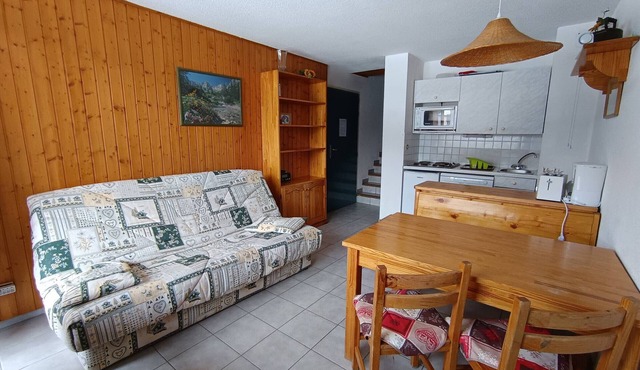 Spacious studio ski-in/ski-out, bright and pets allowed