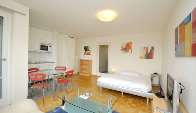 Spacious studio with balcony (Vineyard 71)